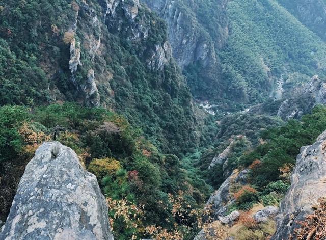 #庐山#庐山竟然藏着一个瀑布,需要登2600个台阶才能上去,景色还出奇的好