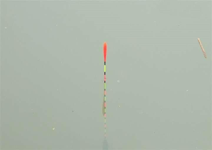 |新手调漂入门第一课，需要先搞明白调几钓几，到底是什么意思