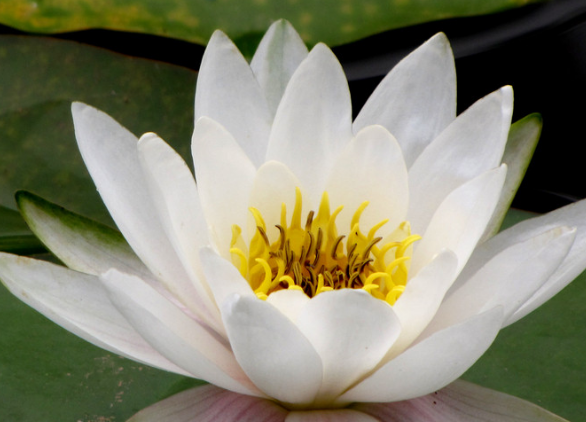 生肖|7月初，4属相运势上升，事业进步，爱情运变好，生活更加轻松