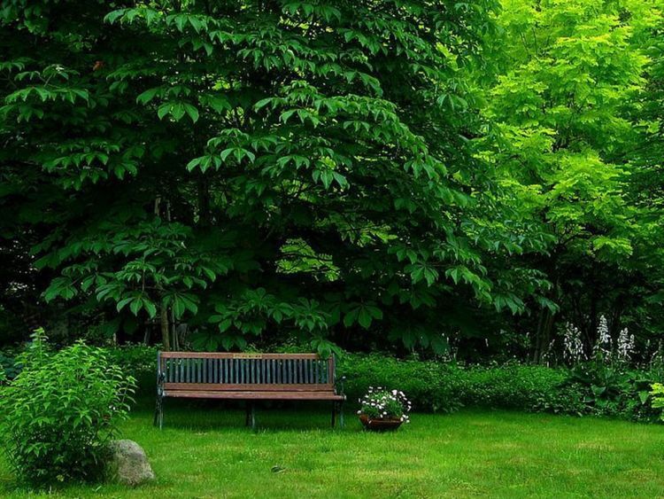 运势|熬过中旬后，3生肖运势腾腾起，正财滔滔，偏财连连，有钱随便花