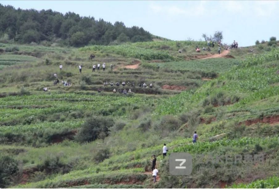 [贵州]真相来了！贵州威宁山中发出不明声源的原来是它