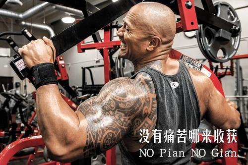 健身：10大最毁身材的健身方式，别说你没做过！