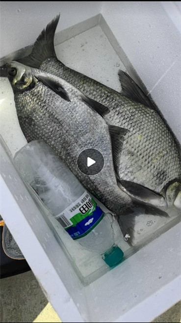 ##浅谈：新手钓鱼装备的选择（台钓篇）