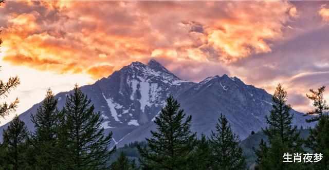 白羊座|10月底,爱情降临,惺惺相惜,再续前缘,爱火再次重燃的3个生肖