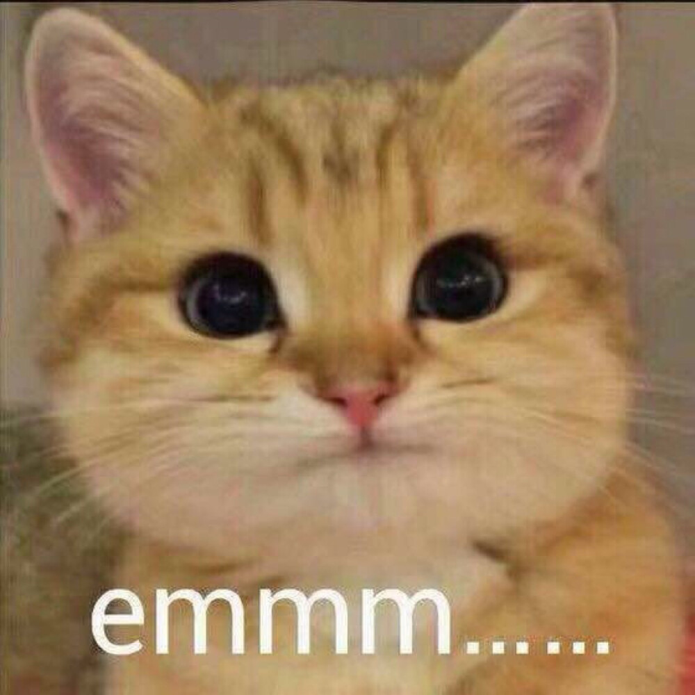 「范冰冰」范冰冰登内地杂志封面,黑长直发量惊人,她为了护发真是够拼的了