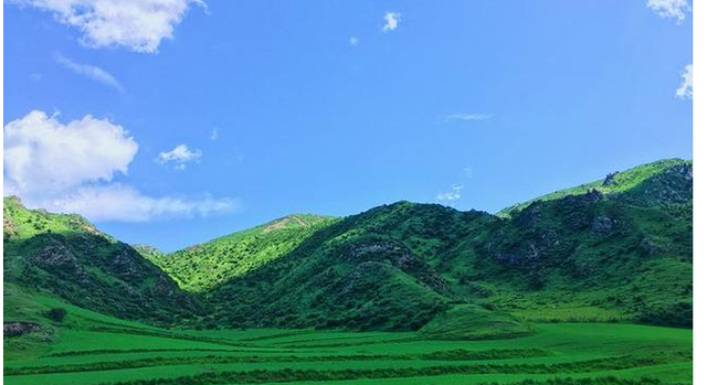 高寒▲一到夏天，这些地方就成了仙境