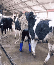 钢铁侠|“原来是真实的电影镜头啊，一直以为是特效！”哈哈哈