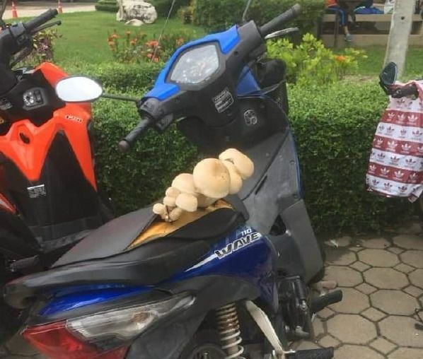 女孩|爆笑段子:想当年哥们高考失利,没能考上自己梦寐以求的大学