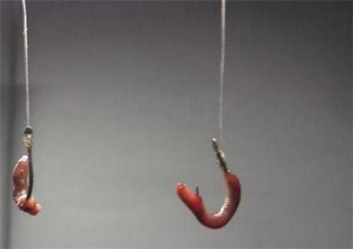 鲫鱼|野外钓鲫鱼，怎么选鱼钩，才能钩型、大小都合适