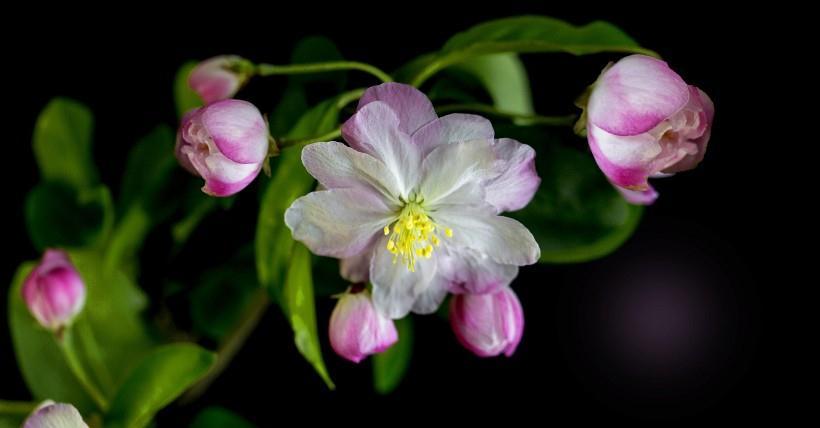 运势|10月开始，四生肖财运滚滚，贵人相助，注定富贵满堂