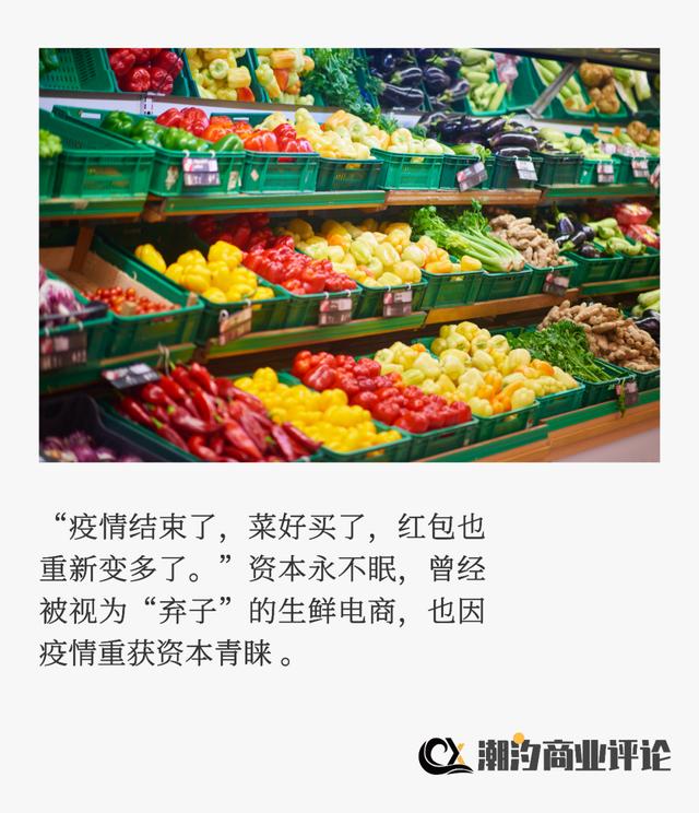 电子商务|电商生死战2.0，“每日优鲜们”将何去何从？