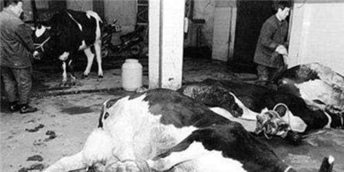 [外星人]农夫在麦田发现一个飞碟，飞走后留下一个“讯息”，至今无人能解