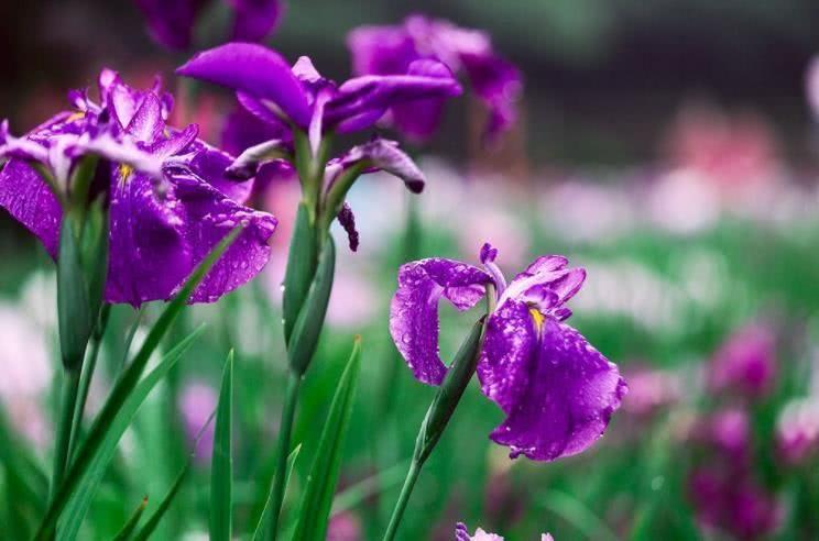 生肖|10月开始，得贵人青睐，横财大涨，日子无忧的4大属相