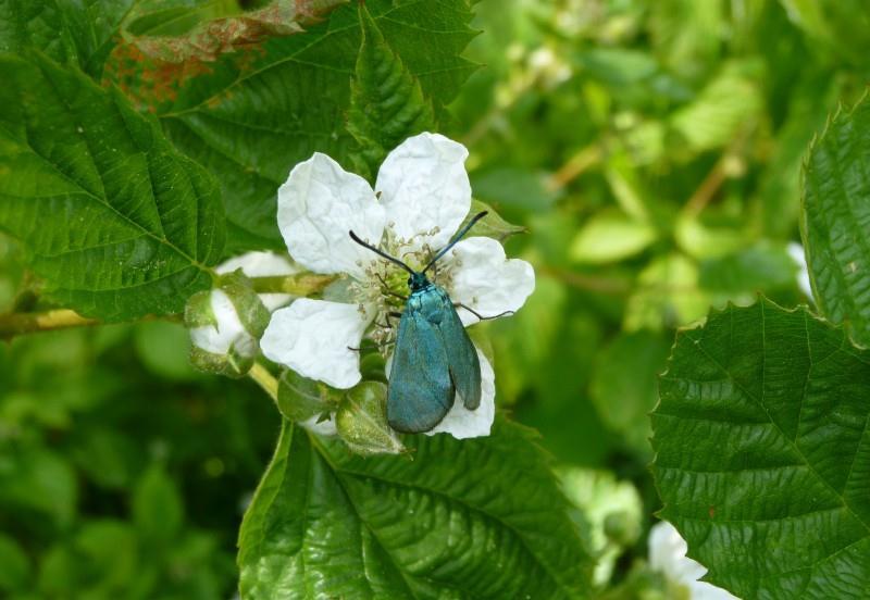 生肖|8月上旬,4生肖将经历坎坷,财运崛起,收获财富和好运