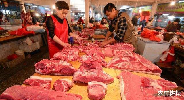 猪肉|11日，多省市猪价下跌，我们还有多久才能吃到“白菜价”猪肉？