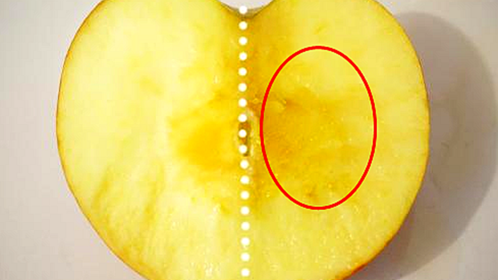 「航天」人类寿命可达1000年，剩下的900年被谁拿走了？专家给出合理解释