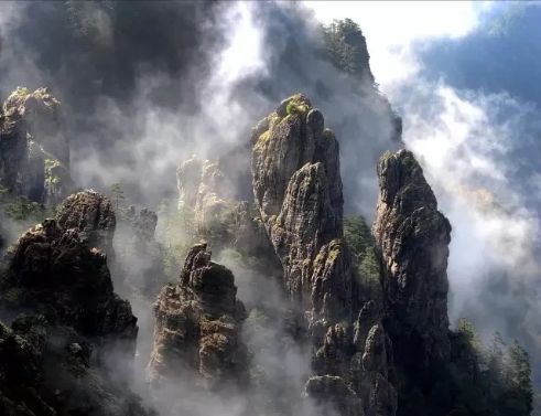 #神农架#触碰最原始的森林——神农架