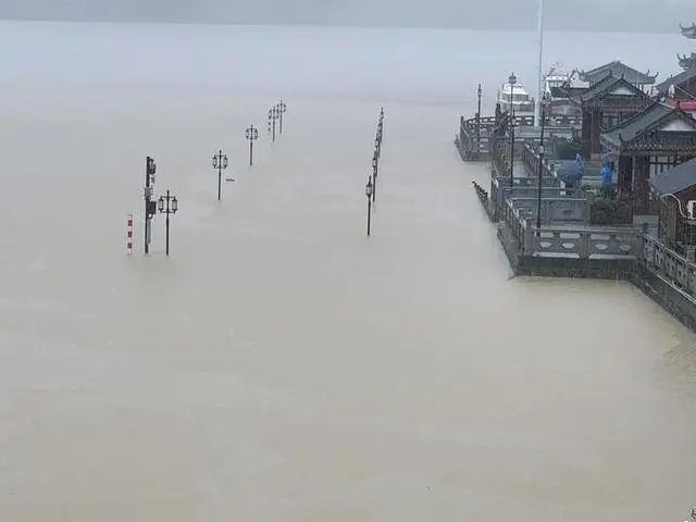 半岛晨报|9孔全开泄洪后，有居民区淹至二楼，树都淹到树冠部位了