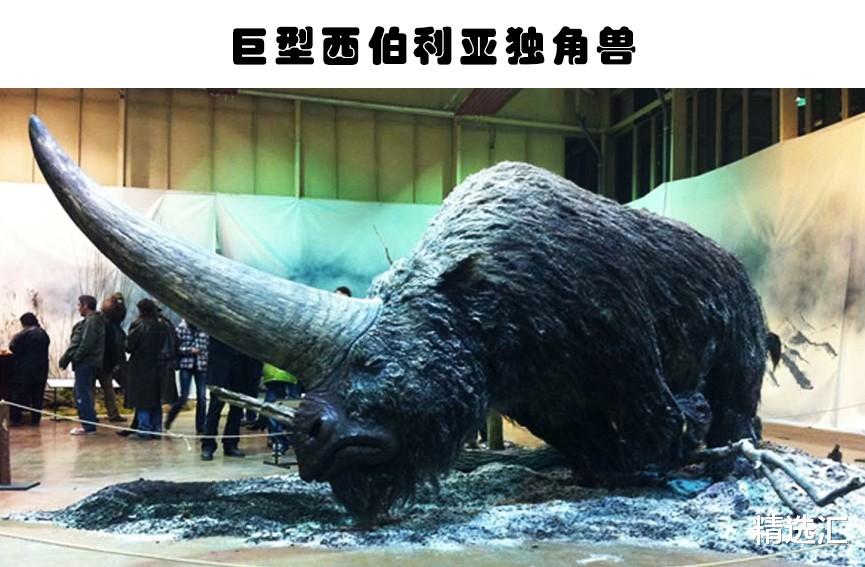化石|奇特的灭绝生物：人类或许会庆幸已经灭绝的7个可怕生物