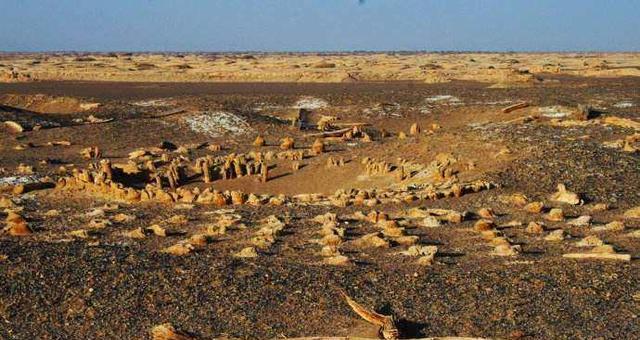 ：又是罗布泊！突现3800年前的七星巨棺，太阳墓到底是什么鬼？