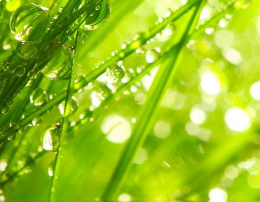 天蝎座|年后桃花盛开、职场也一帆风顺的4个星座，今年是双丰收的一年