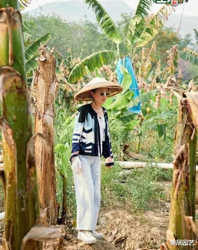 「王丽坤」《向往的生活》最朴实的嘉宾，穿百十块某宝同款外套，全程干活圈粉无数