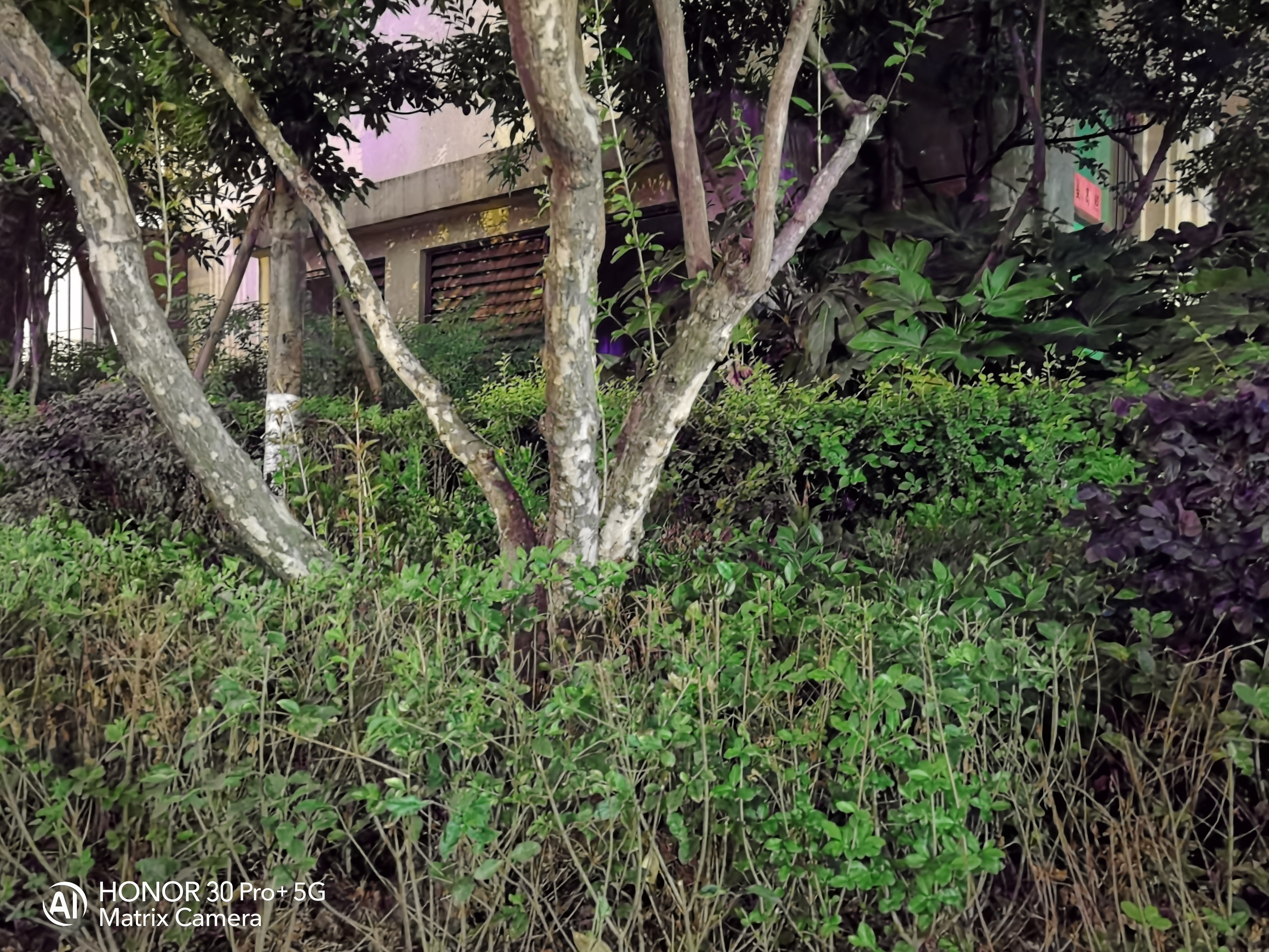 #iphone11#实拍对比，荣耀30 Pro+的夜拍表现能否战胜iPhone 11 Pro Max？