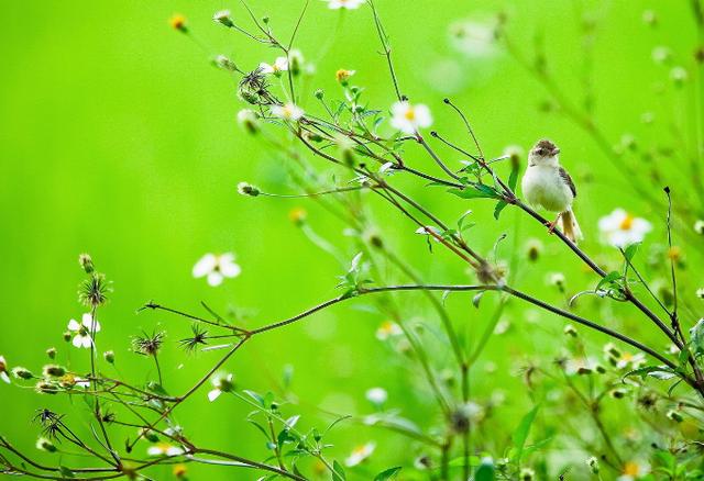 天蝎座|热恋时最让伴侣离不开的4个星座,如胶似漆的爱情美妙又甜蜜