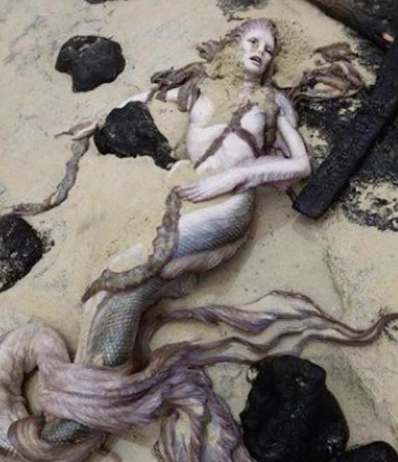 科学家@美人鱼真的存在？曾有报道称发现人鱼宝宝，还有300万族人在地球