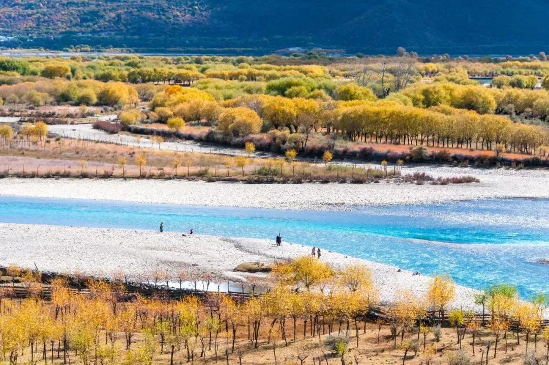 林芝|林芝一定要来两次,一次是春天,一次是秋天