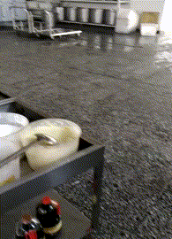 |“什么动物,既没有祖先,也没有子孙”哈哈哈...猜对了吗?