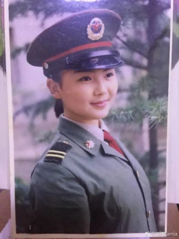 刘涛|刘涛又摊上大事了？
