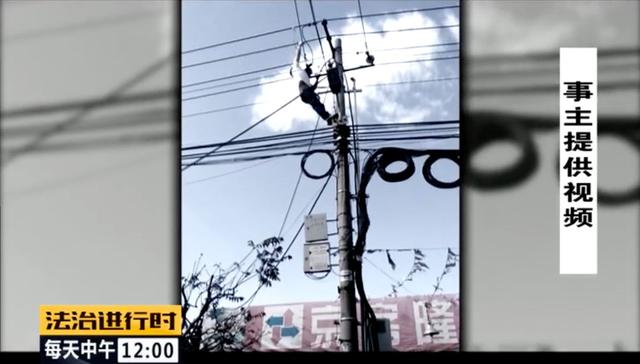有期徒刑|北京朝阳58岁“女村霸” 欺行霸市14年，获刑15年