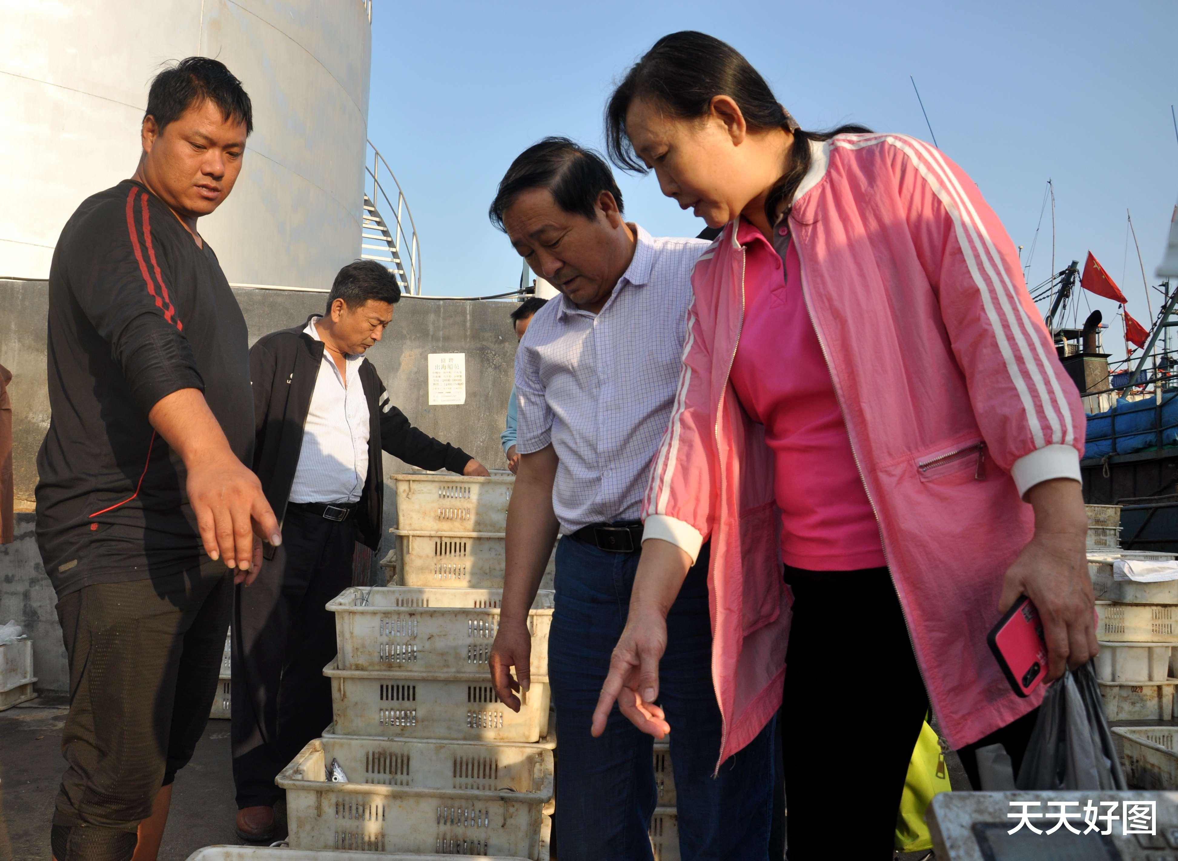 青岛市|海鲜肥啦!青岛渔港大船满载而归,“白菜价”海货6元一斤