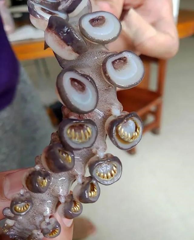 「」一组让你大开眼界的自然场景，最后那张图是不是骗到你了？