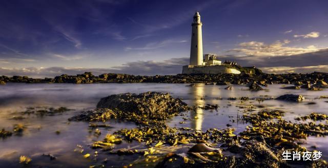 #生肖#5月底，转角相遇，相视一笑，满脸心动，3生肖放下防备，破镜重圆