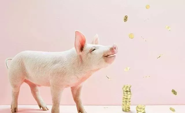 『』大金猪:是金子总会发亮!明、后两天喜神送喜!!