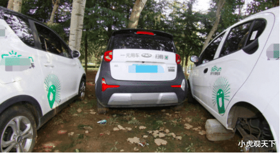 共享汽车@共享汽车都去哪了?在小树林,车内一遍混乱