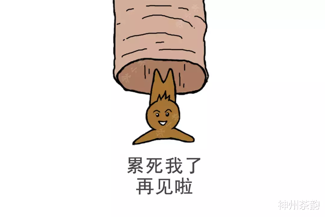 「茶多酚」茶叶在人体里到底在干嘛，有人给你画出来了