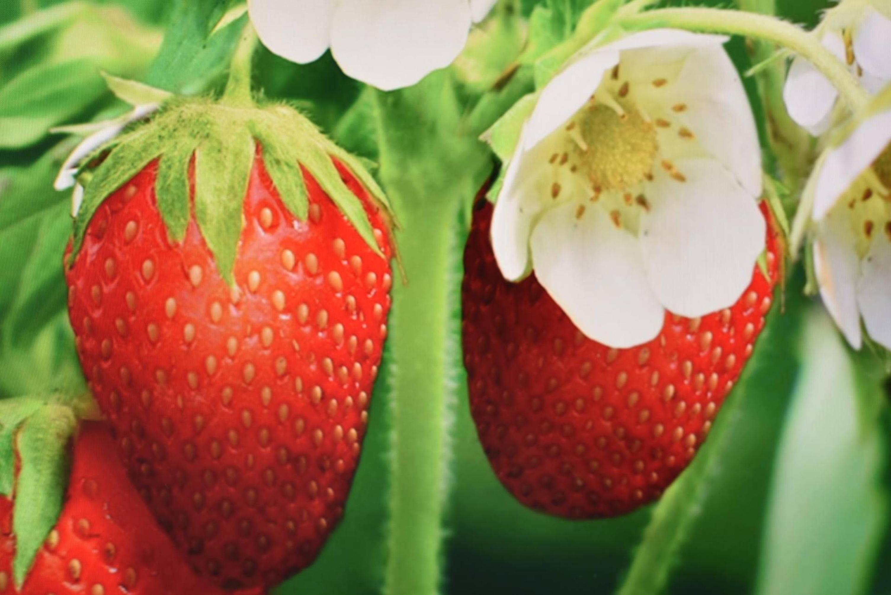 显示器|满足大片观影画质—HKC C299Q宝藏显示器