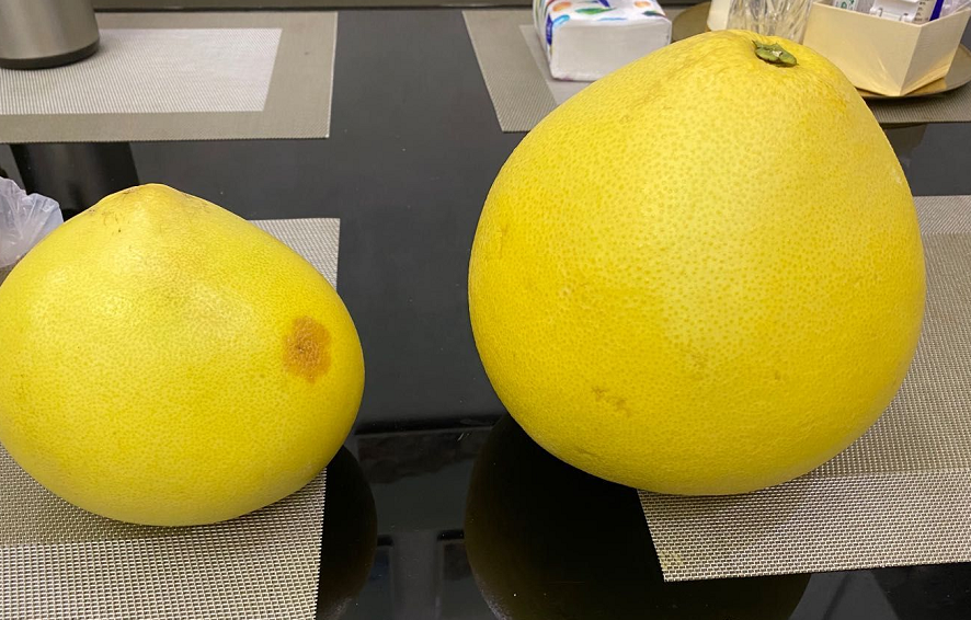 ＂原＂半岛晨报|事发大连！女子花8.98元买了两个柚子，结果…还有更让她想不到的