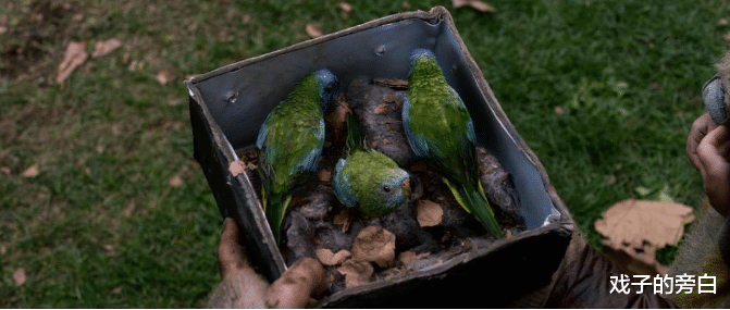 ##不能“看”的电影！