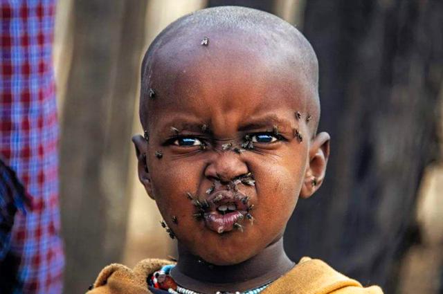 狮子|地球上最强悍种族,眼睛像装了望远镜,口渴了就在牛脖子上捅个洞