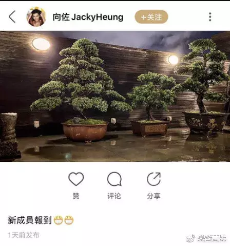 「郭碧婷」郭碧婷怀孕偷拍照首曝光，我看到了女人最难以启齿的一面