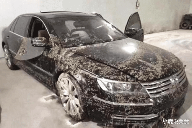 [大众辉腾]男子15万买泡水大众辉腾，汽修工检验后笑出声：你咋没去买彩票？