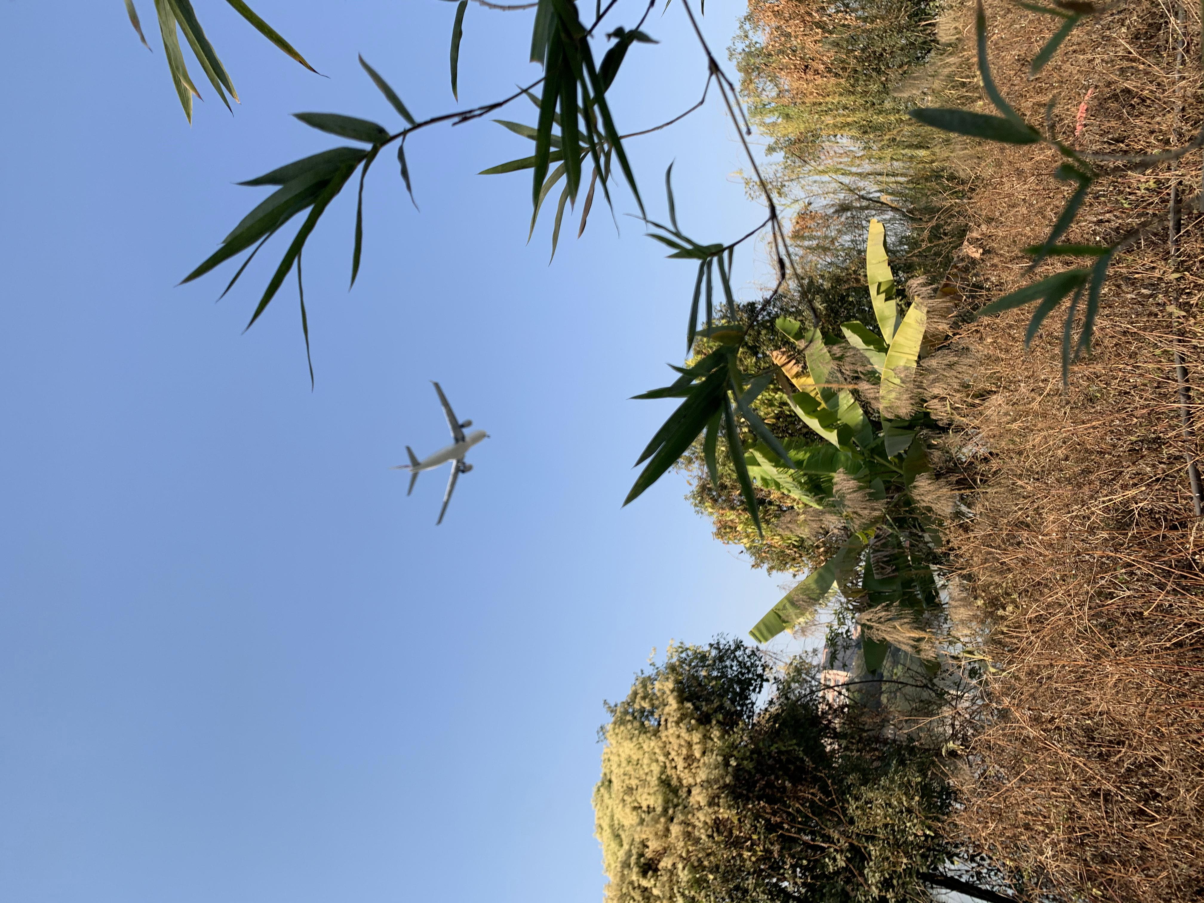 []2019年11月我离职了。