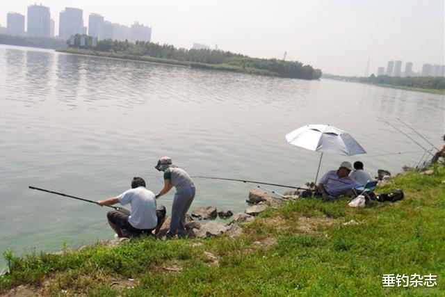 饵料：梅雨季节不好钓鱼？学会这几点，想不爆护都难