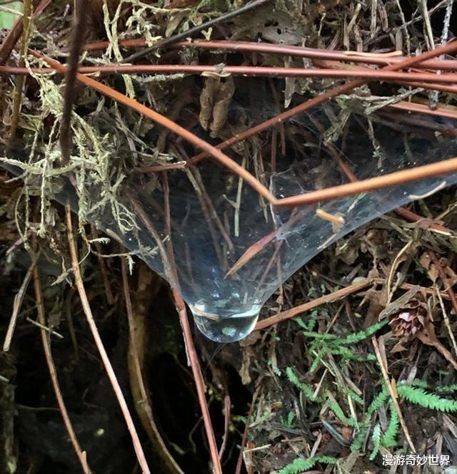 火山|28张难以置信的照片，大自然真是无所不能啊！