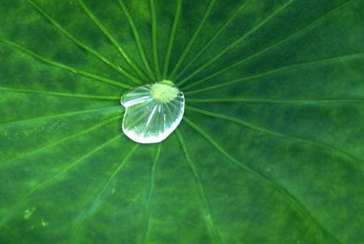 生肖|10月，福星临门，4属相吉星傍身，平平安安，红红火火