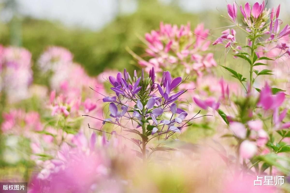 [金牛座]（周运）娜迪亚_5月18日至24日星座运势：山穷水复，柳暗花明